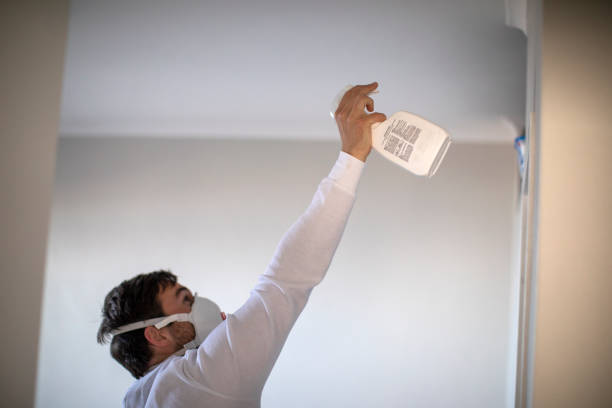 Best Local Mold Removal Service  in Farmers Loop, AK